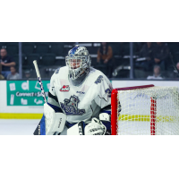 Victoria Royals' Tyler Palmer on the ice