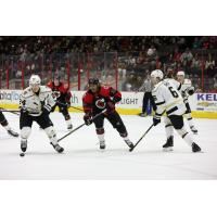 Cincinnati Cyclones' Arvin Atwal And Wheeling Nailers' Adam Smith And Josh Maniscalco On The Ice