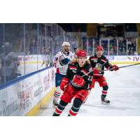 Grand Rapids Griffins' Chase Pearson in action